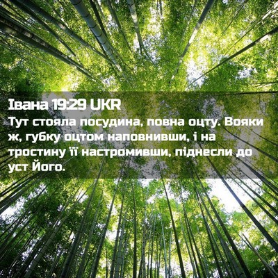 Picture 02 - Івана 19:29 UKR - Тут стояла посудина, повна - Bible Verse Picture