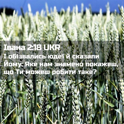 Picture 02 - Івана 2:18 UKR - І обізвались юдеї й - Bible Verse Picture