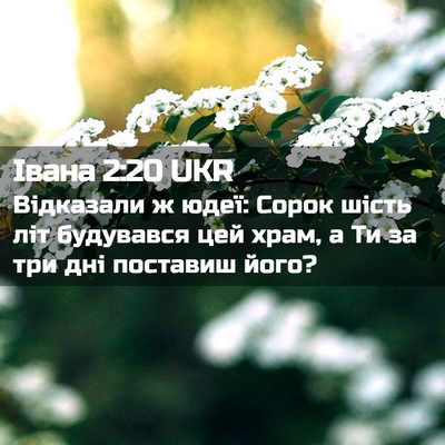 Picture 02 - Івана 2:20 UKR - Відказали ж юдеї: Сорок - Bible Verse Picture