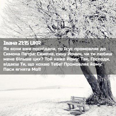 Picture 02 - Івана 21:15 UKR - Як вони вже поснідали, то - Bible Verse Picture