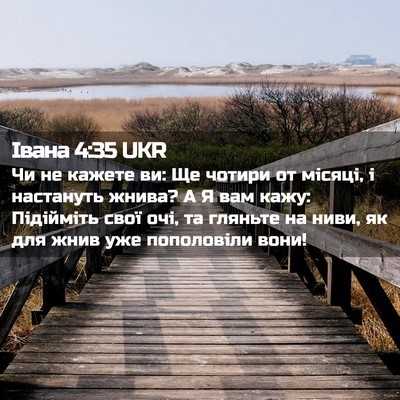 Picture 02 - Івана 4:35 UKR - Чи не кажете ви: Ще чотири - Bible Verse Picture