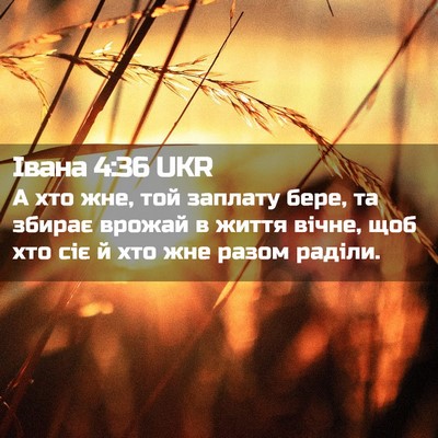 Picture 02 - Івана 4:36 UKR - А хто жне, той заплату бере, - Bible Verse Picture