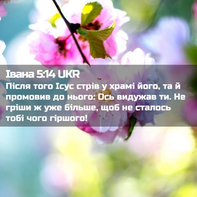 Picture 02 - Івана 5:14 UKR - Після того Ісус стрів у - Bible Verse Picture