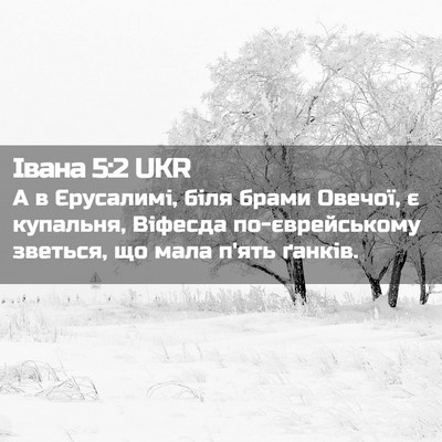 Picture 02 - Івана 5:2 UKR - А в Єрусалимі, біля брами - Bible Verse Picture