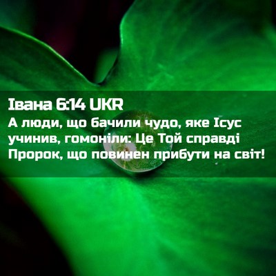 Picture 02 - Івана 6:14 UKR - А люди, що бачили чудо, яке - Bible Verse Picture