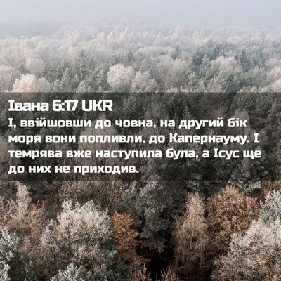 Picture 02 - Івана 6:17 UKR - І, ввійшовши до човна, на - Bible Verse Picture