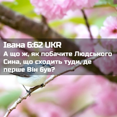 Picture 02 - Івана 6:62 UKR - А що ж, як побачите - Bible Verse Picture