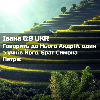 Picture 02 - Івана 6:8 UKR - Говорить до Нього Андрій, - Bible Verse Picture
