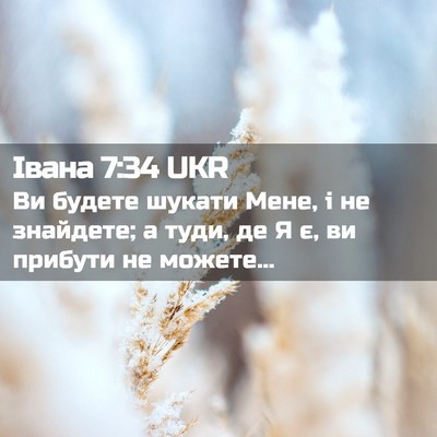 Picture 02 - Івана 7:34 UKR - Ви будете шукати Мене, і не - Bible Verse Picture