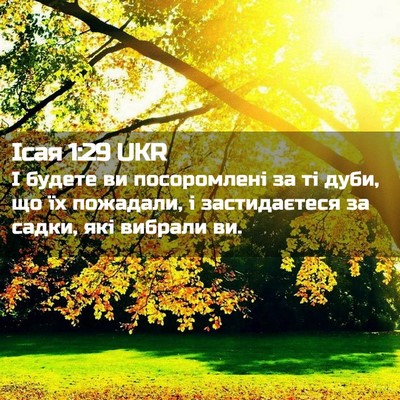 Picture 02 - Ісая 1:29 UKR - І будете ви посоромлені за - Bible Verse Picture