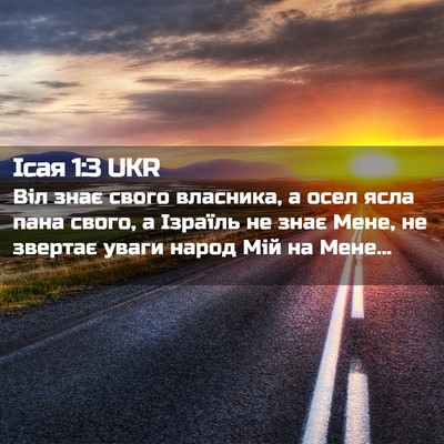 Picture 02 - Ісая 1:3 UKR - Віл знає свого власника, а - Bible Verse Picture