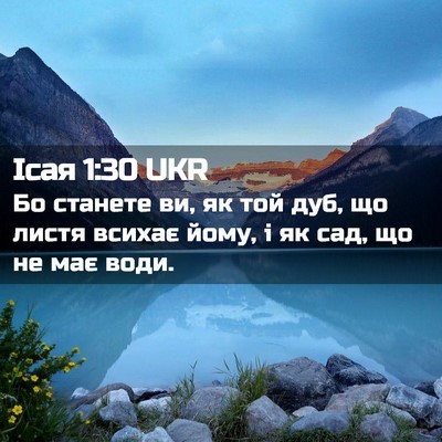 Picture 02 - Ісая 1:30 UKR - Бо станете ви, як той дуб, - Bible Verse Picture