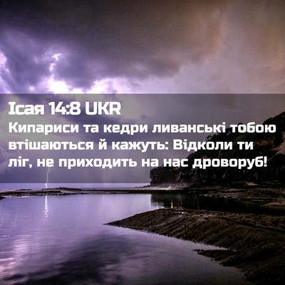 Picture 02 - Ісая 14:8 UKR - Кипариси та кедри - Bible Verse Picture