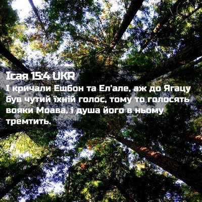 Picture 02 - Ісая 15:4 UKR - І кричали Ешбон та Ел'але, - Bible Verse Picture
