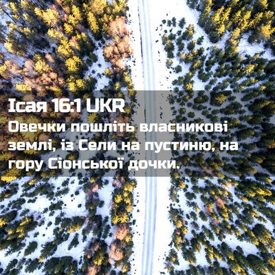 Picture 02 - Ісая 16:1 UKR - Овечки пошліть власникові - Bible Verse Picture