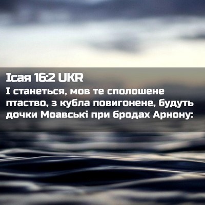 Picture 02 - Ісая 16:2 UKR - І станеться, мов те - Bible Verse Picture