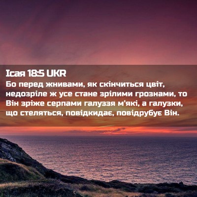 Picture 02 - Ісая 18:5 UKR - Бо перед жнивами, як - Bible Verse Picture