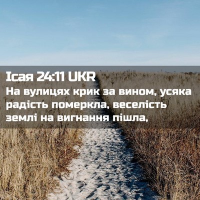 Picture 02 - Ісая 24:11 UKR - На вулицях крик за вином, - Bible Verse Picture