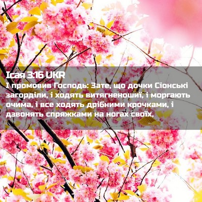 Picture 02 - Ісая 3:16 UKR - І промовив Господь: Зате, - Bible Verse Picture