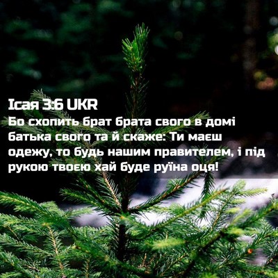 Picture 02 - Ісая 3:6 UKR - Бо схопить брат брата - Bible Verse Picture
