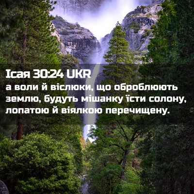 Picture 02 - Ісая 30:24 UKR - а воли й віслюки, що - Bible Verse Picture