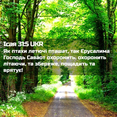 Picture 02 - Ісая 31:5 UKR - Як птахи летючі пташат, так - Bible Verse Picture