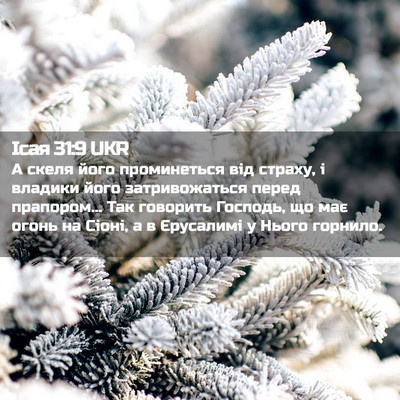 Picture 02 - Ісая 31:9 UKR - А скеля його проминеться - Bible Verse Picture