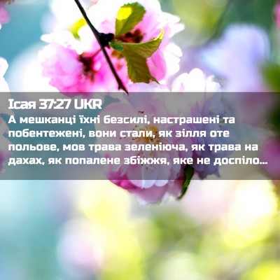 Picture 02 - Ісая 37:27 UKR - А мешканці їхні безсилі, - Bible Verse Picture
