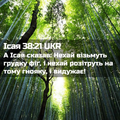 Picture 02 - Ісая 38:21 UKR - А Ісая сказав: Нехай - Bible Verse Picture