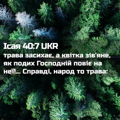 Picture 02 - Ісая 40:7 UKR - трава засихає, а квітка - Bible Verse Picture