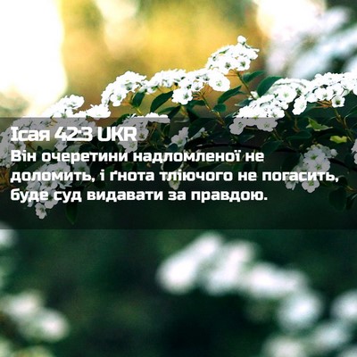 Picture 02 - Ісая 42:3 UKR - Він очеретини надломленої - Bible Verse Picture