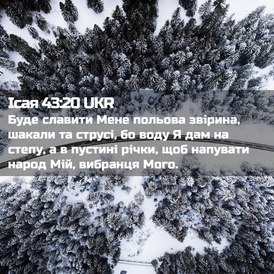 Picture 02 - Ісая 43:20 UKR - Буде славити Мене польова - Bible Verse Picture