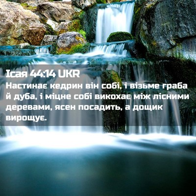 Picture 02 - Ісая 44:14 UKR - Настинає кедрин він собі, і - Bible Verse Picture