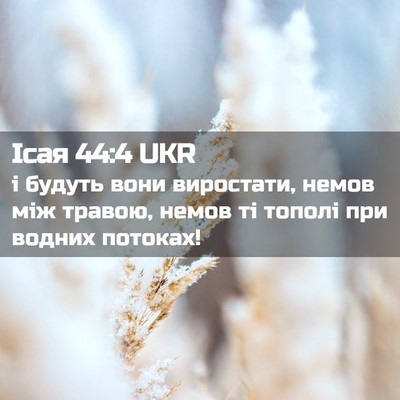 Picture 02 - Ісая 44:4 UKR - і будуть вони виростати, - Bible Verse Picture