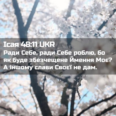 Picture 02 - Ісая 48:11 UKR - Ради Себе, ради Себе роблю, - Bible Verse Picture