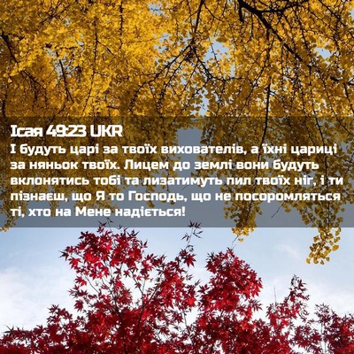 Picture 02 - Ісая 49:23 UKR - І будуть царі за твоїх - Bible Verse Picture