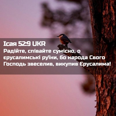 Picture 02 - Ісая 52:9 UKR - Радійте, співайте сумісно, - Bible Verse Picture