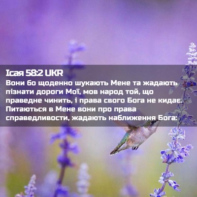 Picture 02 - Ісая 58:2 UKR - Вони бо щоденно шукають - Bible Verse Picture