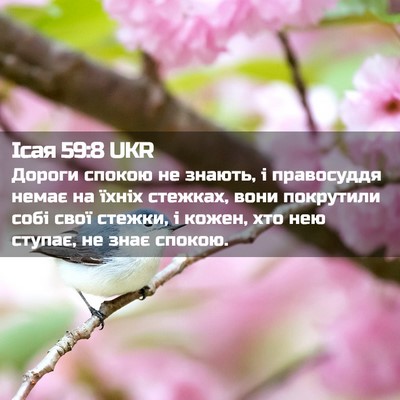 Picture 02 - Ісая 59:8 UKR - Дороги спокою не знають, і - Bible Verse Picture