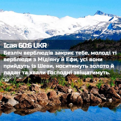 Picture 02 - Ісая 60:6 UKR - Безліч верблюдів закриє - Bible Verse Picture
