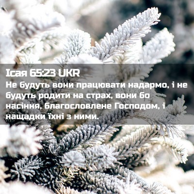 Picture 02 - Ісая 65:23 UKR - Не будуть вони працювати - Bible Verse Picture