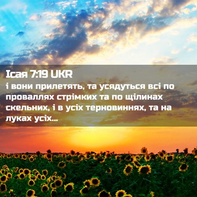 Picture 02 - Ісая 7:19 UKR - і вони прилетять, та - Bible Verse Picture