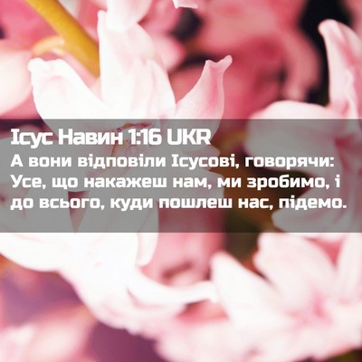 Picture 02 - Ісус Навин 1:16 UKR - А вони відповіли Ісусові, - Bible Verse Picture