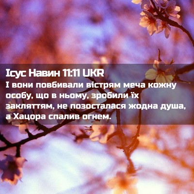 Picture 02 - Ісус Навин 11:11 UKR - І вони повбивали вістрям - Bible Verse Picture
