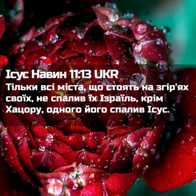 Picture 02 - Ісус Навин 11:13 UKR - Тільки всі міста, що стоять - Bible Verse Picture