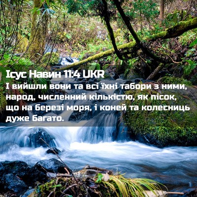 Picture 02 - Ісус Навин 11:4 UKR - І вийшли вони та всі їхні - Bible Verse Picture