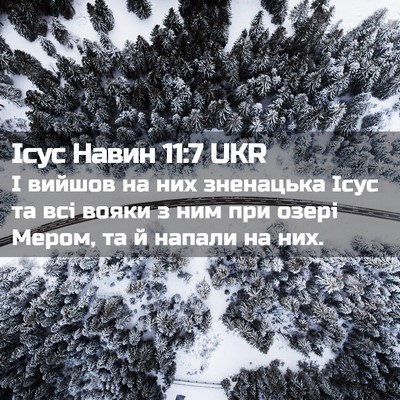 Picture 02 - Ісус Навин 11:7 UKR - І вийшов на них зненацька - Bible Verse Picture