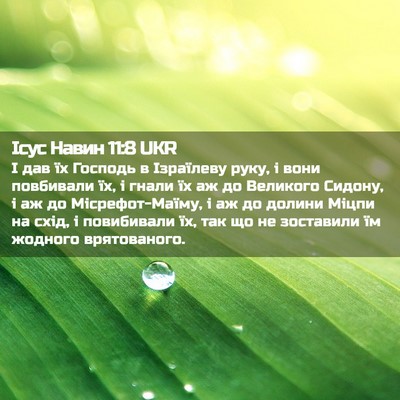 Picture 02 - Ісус Навин 11:8 UKR - І дав їх Господь в - Bible Verse Picture
