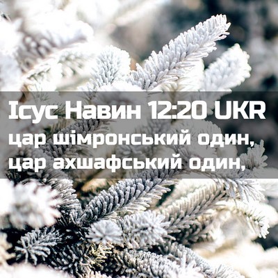 Picture 02 - Ісус Навин 12:20 UKR - цар шімронський один, цар - Bible Verse Picture