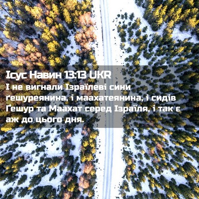 Picture 02 - Ісус Навин 13:13 UKR - І не вигнали Ізраїлеві - Bible Verse Picture